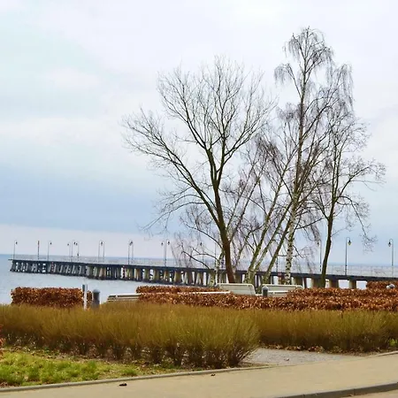 Kwatera prywatna Pokój Gościnny W Apartamencie Altus *
